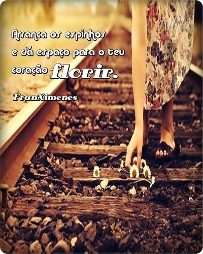 4n6l3cu1gHGH.jpg?1553458207