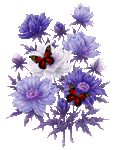 flores_%281%29.gif?1506901280