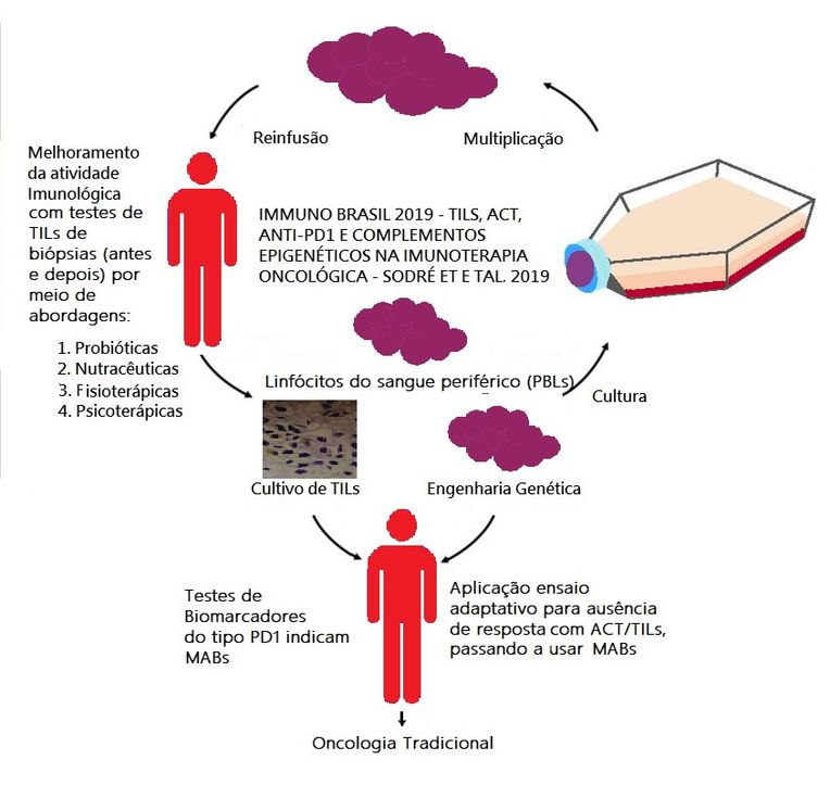 Ensaio adaptativo immuno2019 brasil