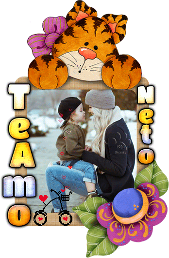10.gif?1546014713