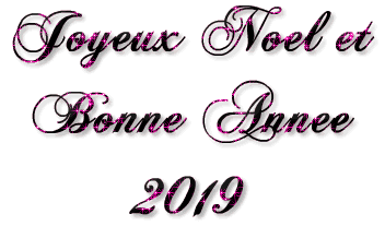 animation-bonne-annee-2019_%281%29.gif