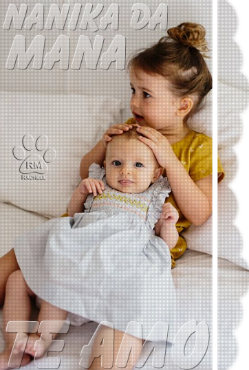 11.png?1546879801