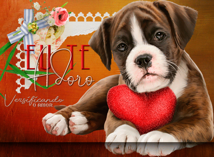 cards-fofos1.gif?1549904666