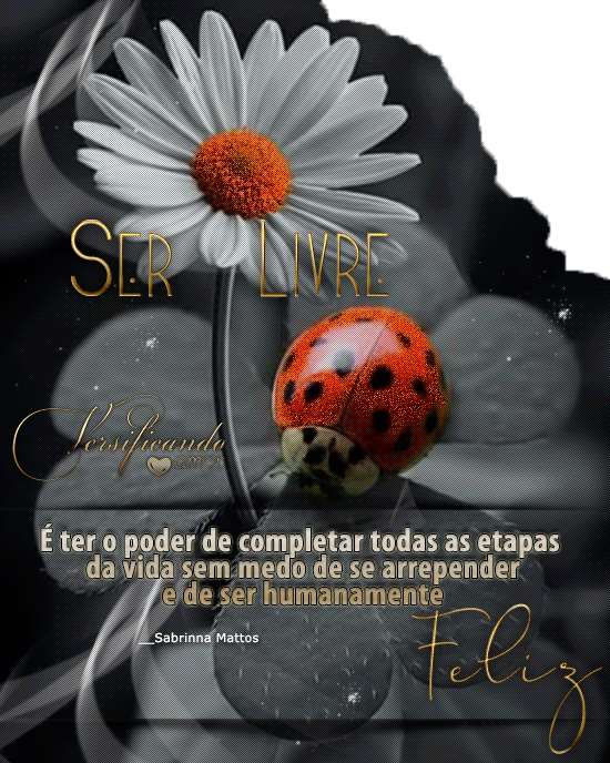 card-a.gif?1555531653