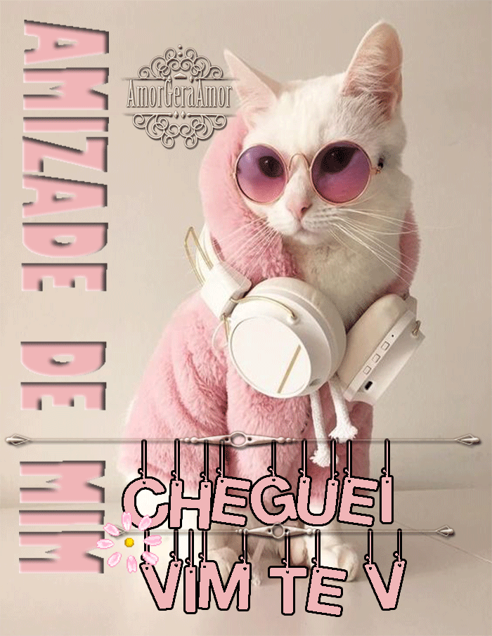 AMIZADE-3.gif?1564786375?1564786293?1564