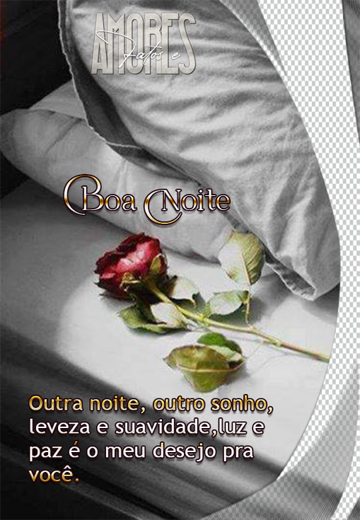 BOA_NOITE_2_PSTAR.png?1602967421