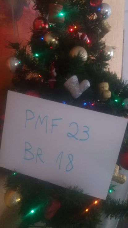 Pmf23 br18