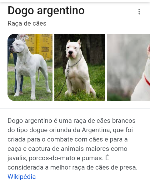 Dogo Argentino - Wikipedia