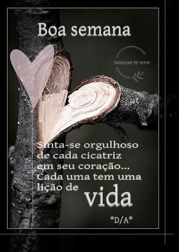 cc66ab8ca90d803962c3995fdf8bb447.jpg?170