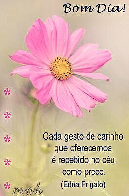 download_%281%29.png?1717070348