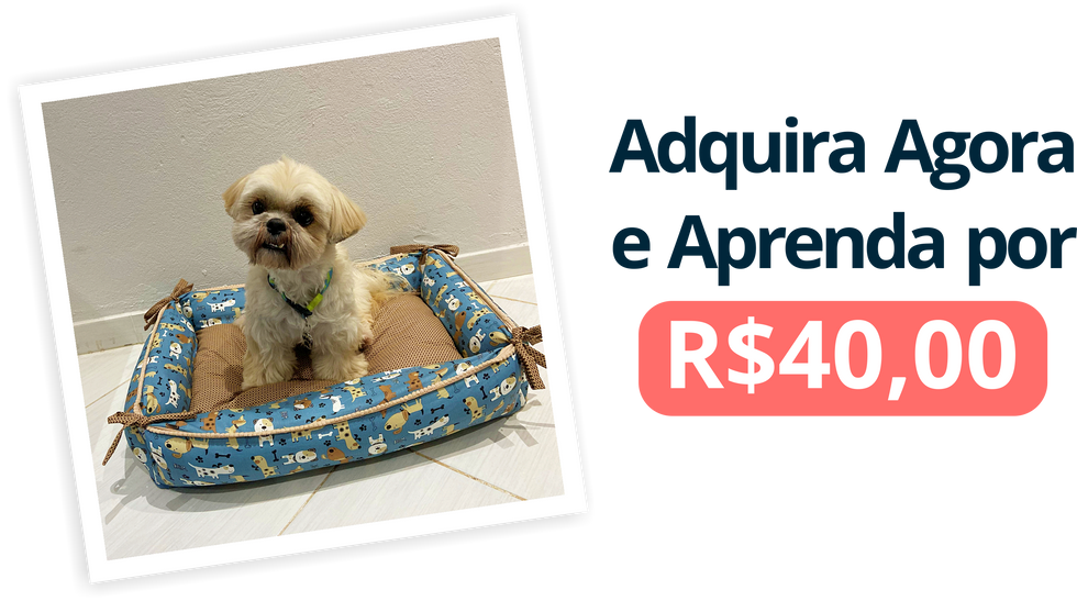 Curso online cama pet 03