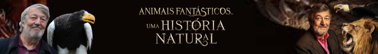 Imagem com link para Animais Fantásticos: Uma História Natural