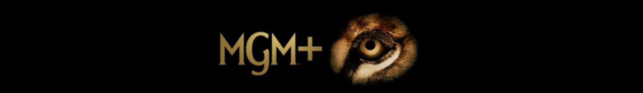 Imagem com link para MGM+