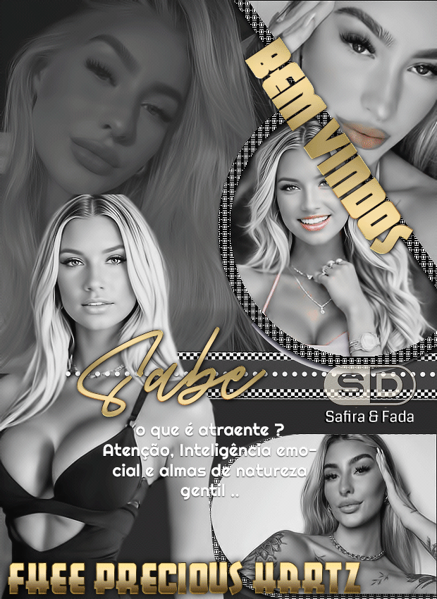 FHEE%28CARDBEMVINDOS%29SDSAFIRA.gif?1726