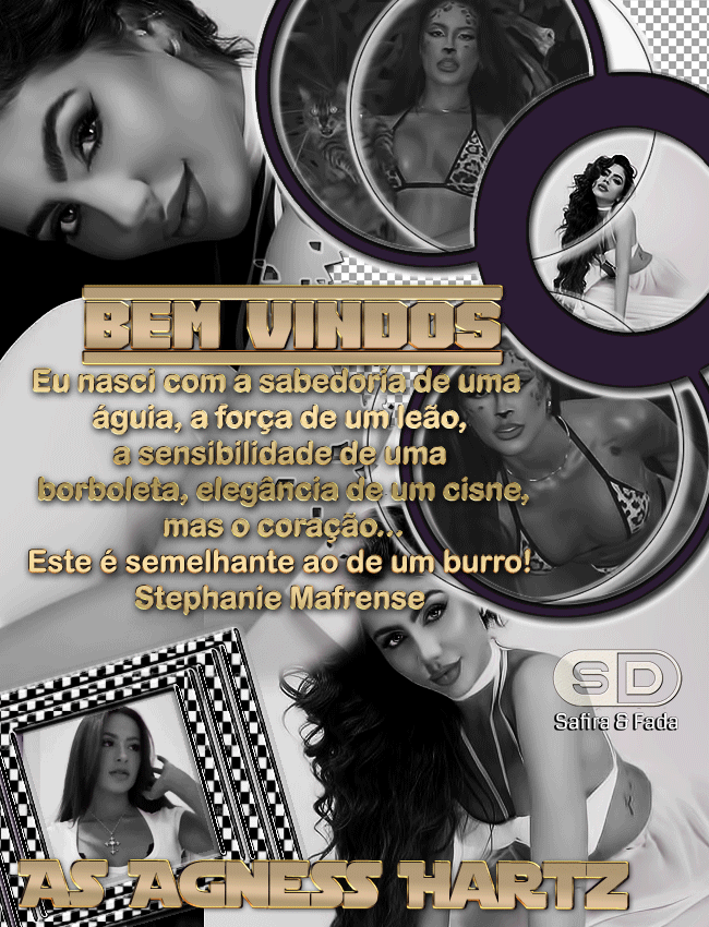 agness3%28CARDBEMVINDOS%29SDSAFIRA.gif?1